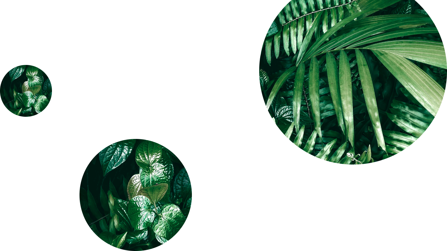 pageBackgroundImageAlt